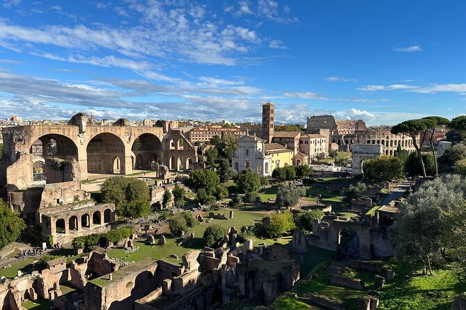 Ancient Rome Discovery: Colosseum, Forum, Palatine Guided Tour - Palatine Hill: Imperial Homes and Big Views