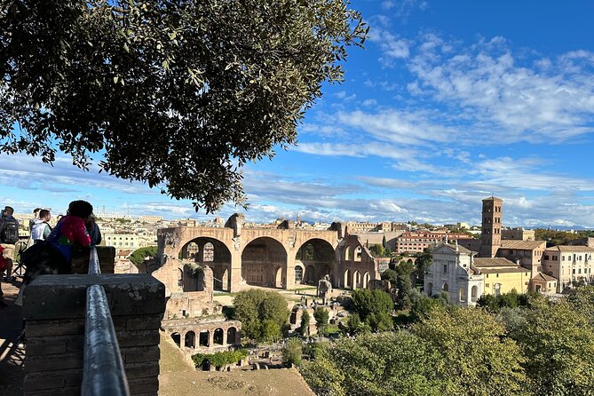 Ancient Rome Discovery: Colosseum, Forum, Palatine Guided Tour - The Guides Who Make the Ruins Make Sense