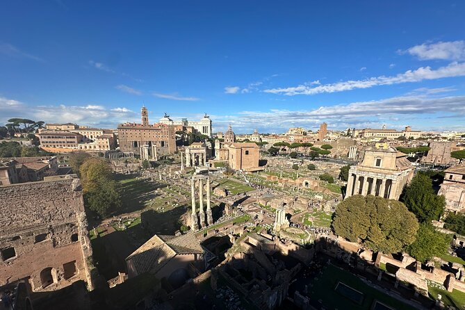 Ancient Rome Discovery: Colosseum, Forum, Palatine Guided Tour - Price and Value: Why $156 Can Be Fair