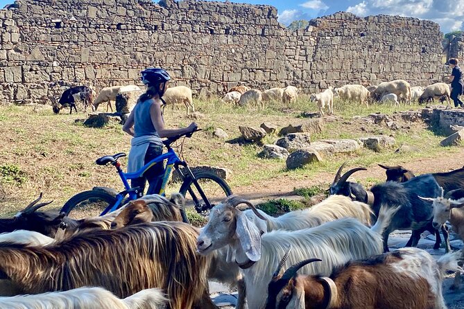 Appian Way & Aqueducts small group e-bike tour(catacombs & food) - Porta San Sebastiano: Starting at an Imperial Gate