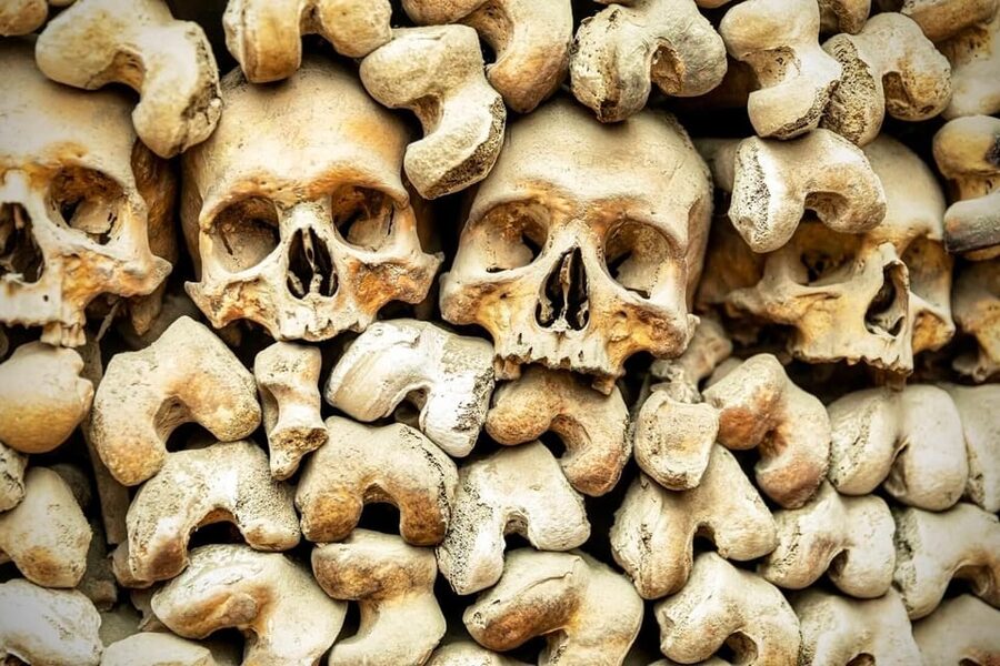 Bone Crypts & S. Clemente ENGLISH tour - tickets included - A Two and a Half Hour Route Through Rome Underground