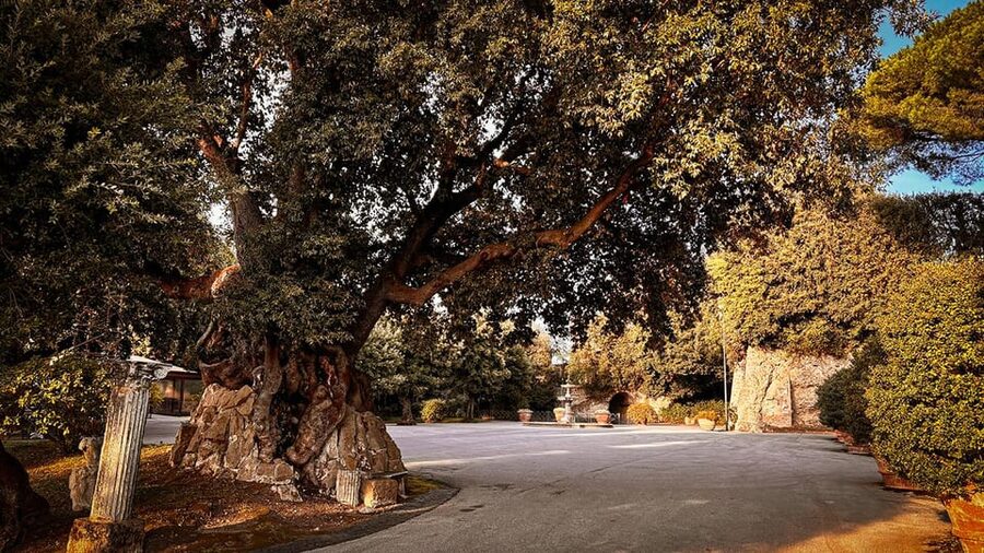 Borgo Laudato Si' - Gardens of Villa Barberini - Key Highlights You Should Know