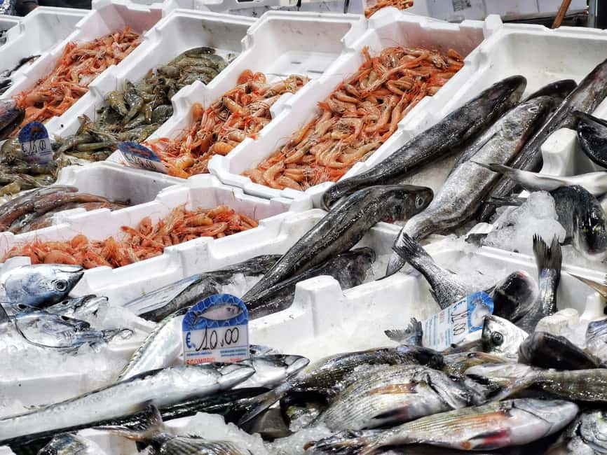 Civitavecchia: Historical and Culinary Walking Tour - Who should book this Civitavecchia food and history tour