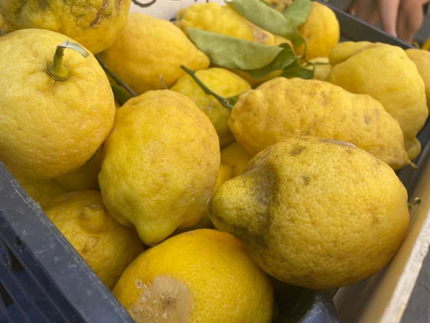 Civitavecchia: Historical and Culinary Walking Tour - The market area: where sensory overload turns into a lesson