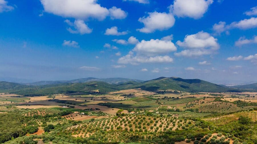 Civitavecchia: Tuscany Full-Day Guided Trip w/Wine Tasting - Cascate del Mulino in Saturnia: Thermal Pools, White Travertine, and Real Relax Time