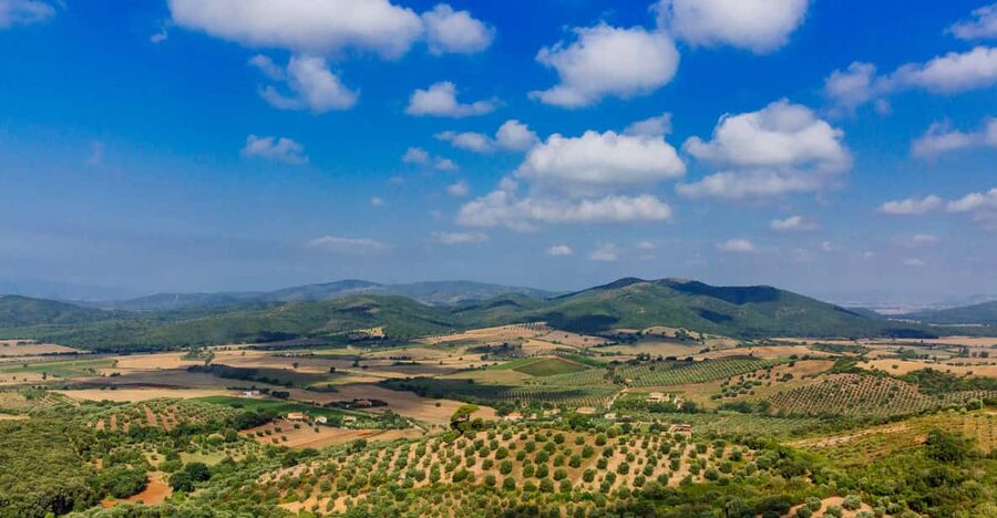 Civitavecchia: Tuscany Full-Day Guided Trip w/Wine Tasting - Montemerano: A Hill Town Shaped by Malaria, Invasions, and Medici Rule