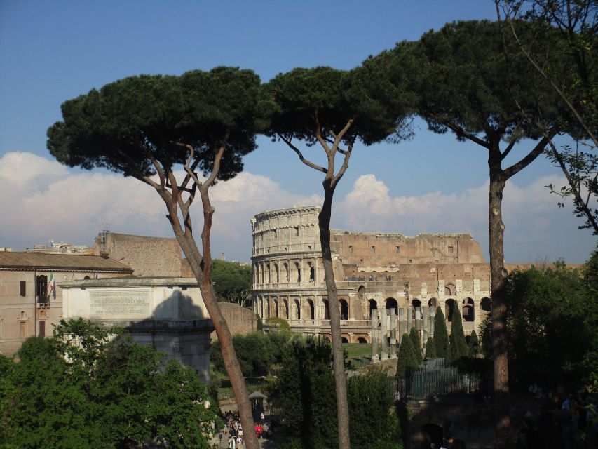Colosseum Express Tour with Local Guide - Colosseum Express: what you are really buying for $99