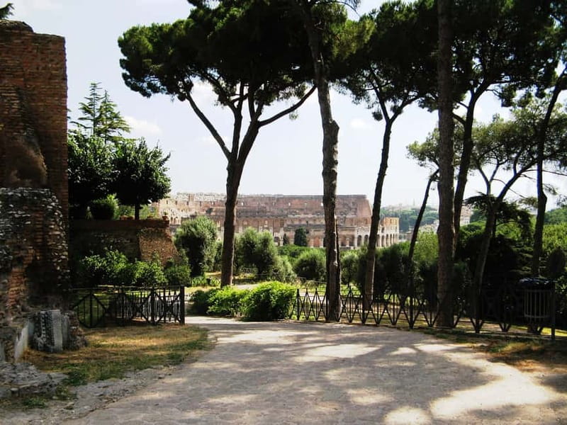 Colosseum, Forum & Palatine Hill Guided Walking tour - Price and Value: Is $72.49 Good for Three Sites?