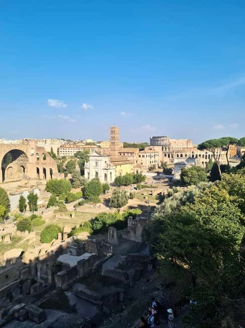 Colosseum, Roman Forum & Palatine Hill: AudioGuide & Host - Pacing and who this tour suits best