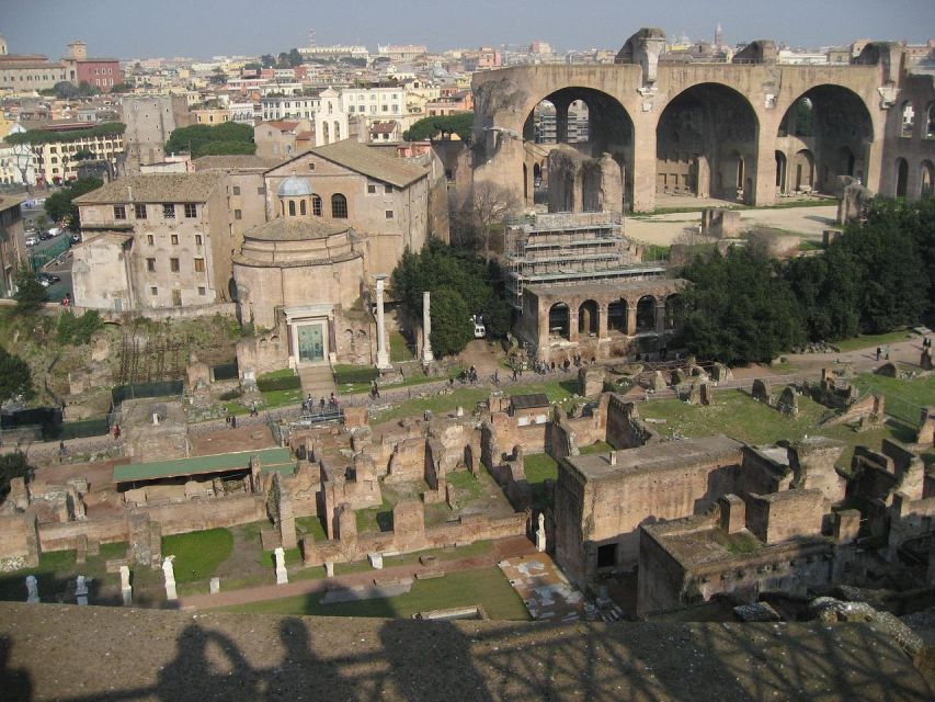 Domus Tiberiana, Palatine Hill and Roman Forum Guided Tour - Palatine Hill Start: The Origin Story You Can Walk Through