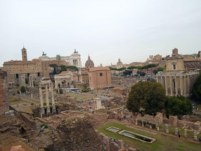 Exclusive tour of Ancient Rome and Domus Tiberiana - Key Highlights You’ll Care About