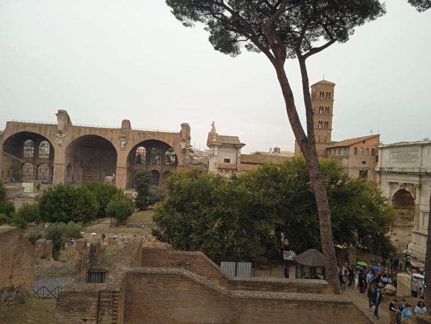 Exclusive tour of Ancient Rome and Domus Tiberiana - Who Should Book This Tour (And Who Might Skip It)