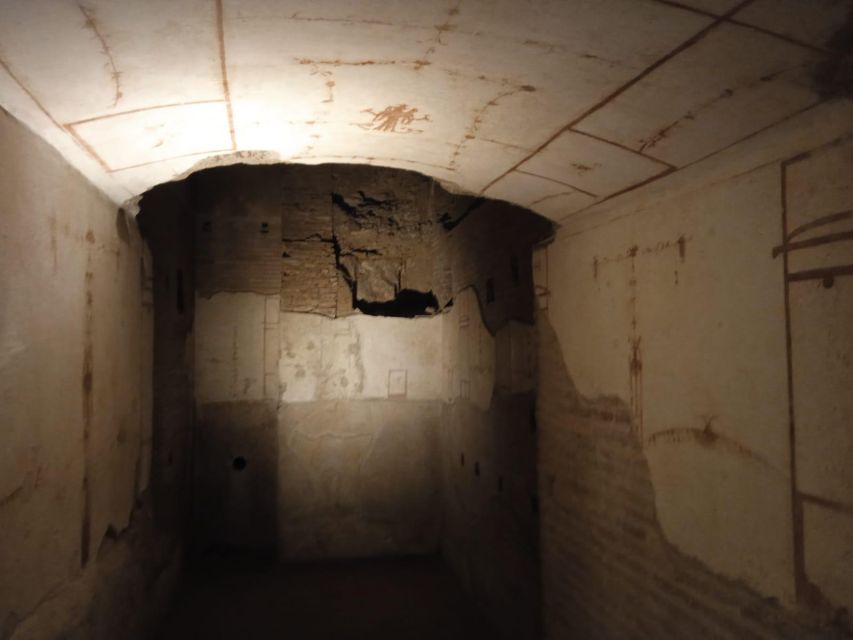 Exclusive tour of Ancient Rome and Domus Tiberiana - Palatine Hill: Emperor-Proximity Views and Imperial Palace Clues