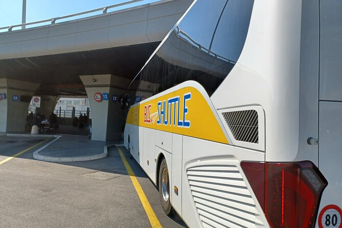 Fiumicino Airport Shared Shuttle Bus to Rome Termini & Vatican - Finding the Bus Stop: The 15-Minute Validation That Saves Headaches