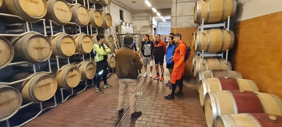 Frascati: Tour in E-Bike with Wine Tasting - The “why this tour is worth $94” calculation