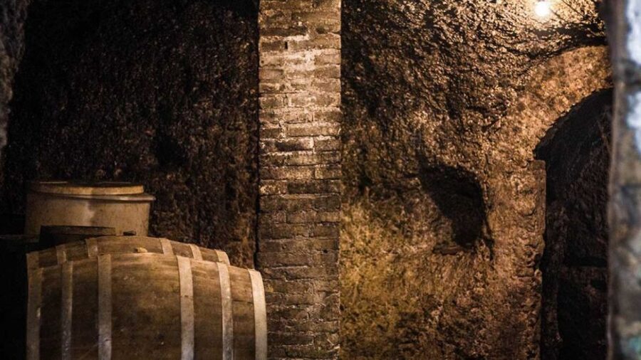 Frascati Wine Road from Rome: Tasting & Lunch - Should you book this Frascati wine road trip?