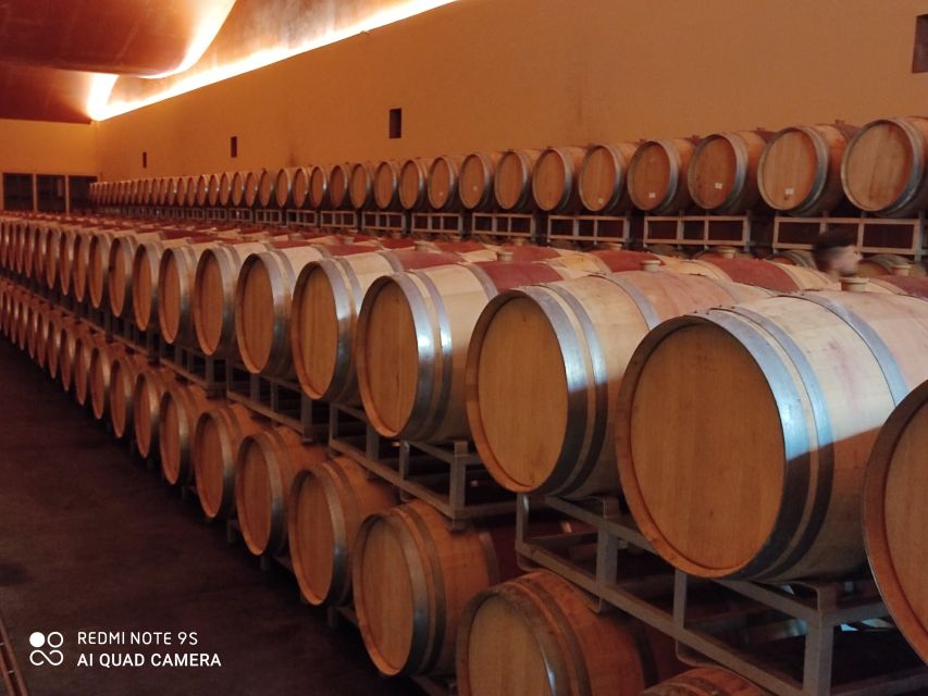 From Civitavecchia: Tuscany-Latium Wine Tour with Tastings - Small-group touring with Mirko and the photo moment planning