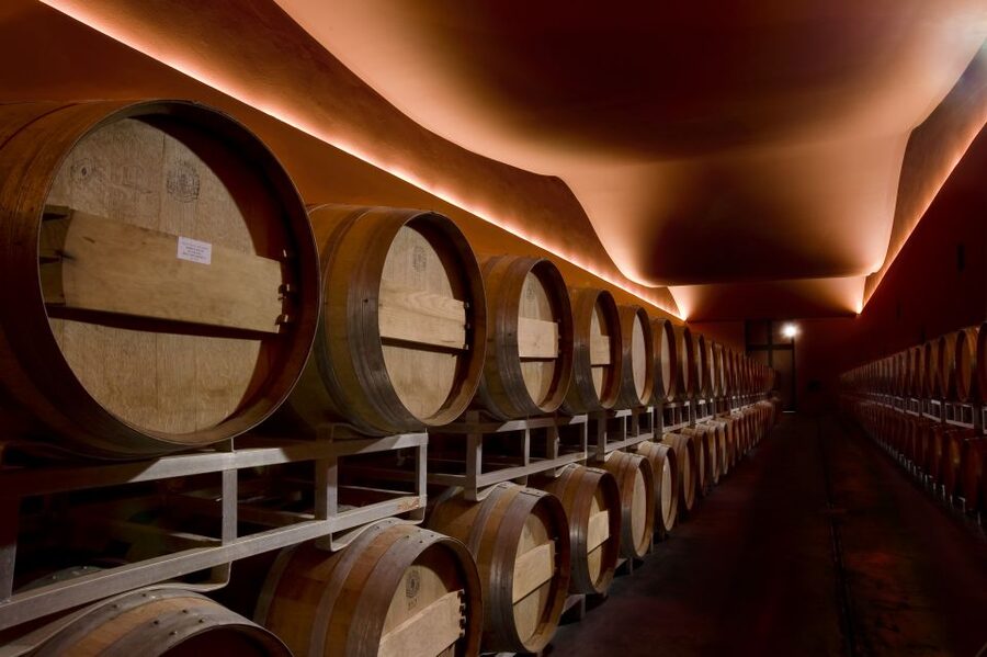 From Civitavecchia: Tuscany-Latium Wine Tour with Tastings - Price and value: is $243.56 a fair deal for this wine day?