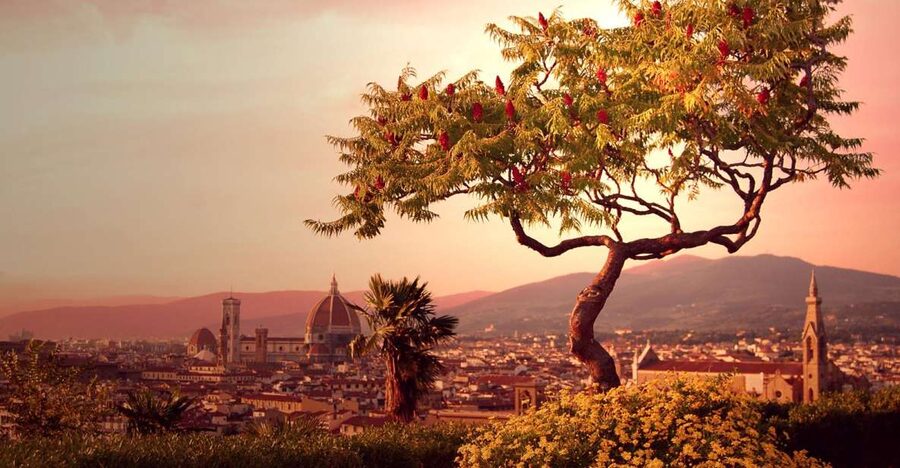 From Rome: Day Trip to Florence by High-Speed Train - Getting going from Rome: meetup at 7:30AM and train timing