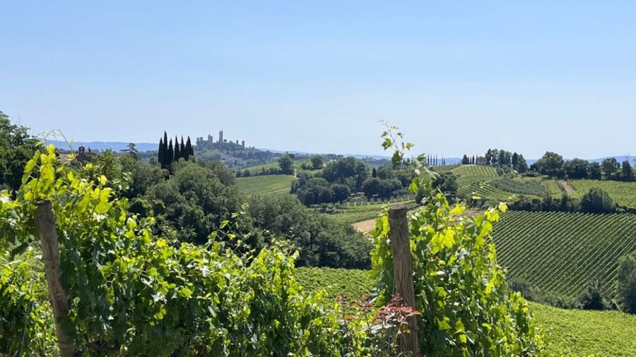 From Rome: Florence & Tuscany Day Tour by High-Speed Train - Price and logistics: is $231.20 worth it for this format?