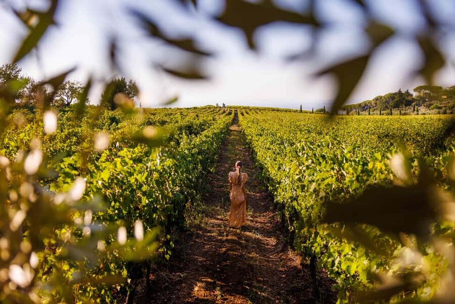 From Rome: Frascati Wine Region Tour with Wine Tasting - Key highlights worth marking on your mental map