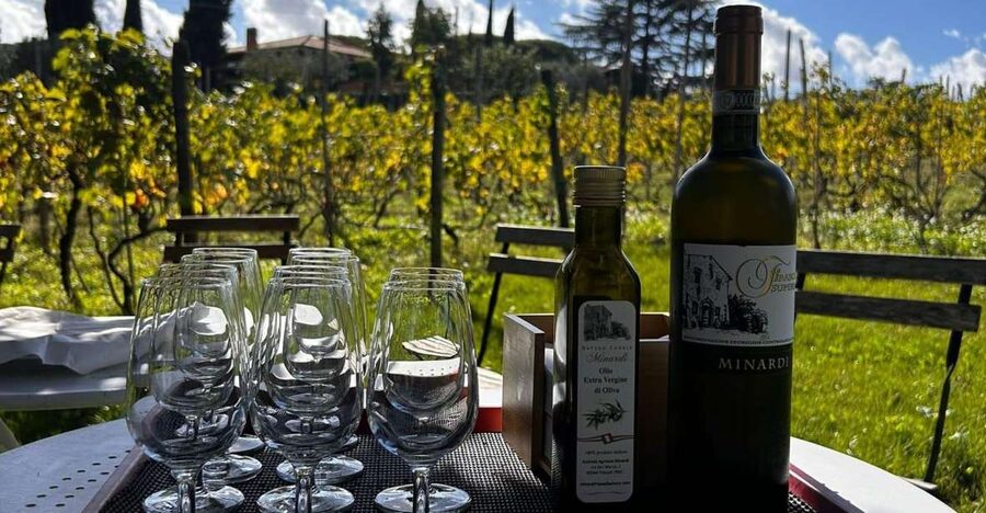 From Rome: Half-Day Frascati Wine Tour with Farmhouse Lunch - Walking Frascati: cathedrals, villas, and your first wine moment