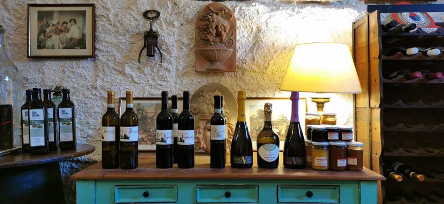 From Rome: Half-Day Frascati Wine Tour with Farmhouse Lunch - Vineyard visit and guided tasting: 3 wines plus EVO oil