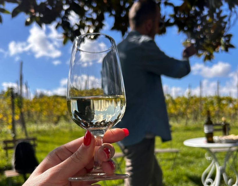 From Rome: Half-Day Frascati Wine Tour with Farmhouse Lunch - Lunch at the farmhouse: local specialties, friendly hosts, and music