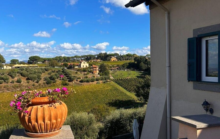 From Rome: Half-Day Frascati Wine Tour with Farmhouse Lunch - How long will this take, and how to plan your day