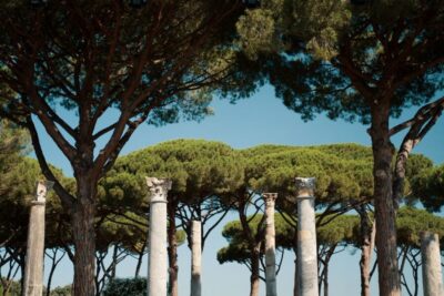 Ostia Antica 4-Hour Guided Tour