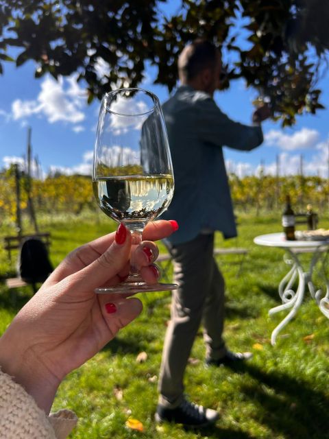 From Rome: Pasta Masterclass & Wine Tour in the Vineyard - Wine tasting at a family farmhouse, with bottles and olive oil in the spotlight