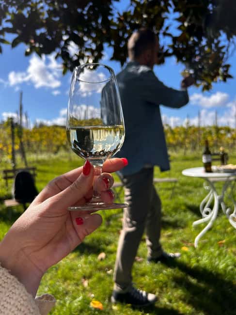 From Rome: Pasta Masterclass & Wine Tour in the Vineyard - Small group size, English guide, and why the team matters