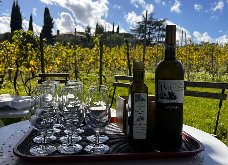 From Rome: Pasta Masterclass & Wine Tour in the Vineyard - Who should book this vineyard day from Rome