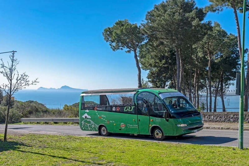 From Rome: Pompeii and Vesuvio Guided Day Trip with Lunch - Why Pompeii plus Vesuvius works better than doing them separately
