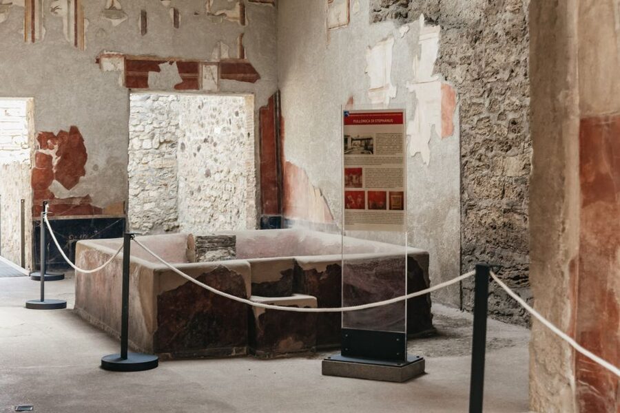 From Rome: Pompeii Day Trip with Optional Vesuvius and Lunch - What to pack, what not to bring, and who this is not for
