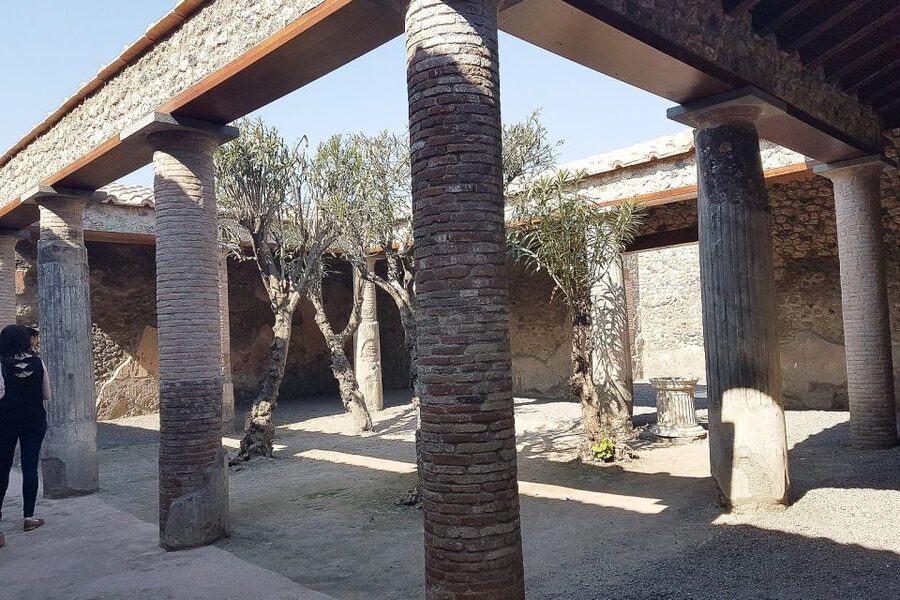 From Rome: Pompeii & Naples Small-Group Day Tour with Lunch - Pompeii and Naples from Rome, one day that actually feels like two