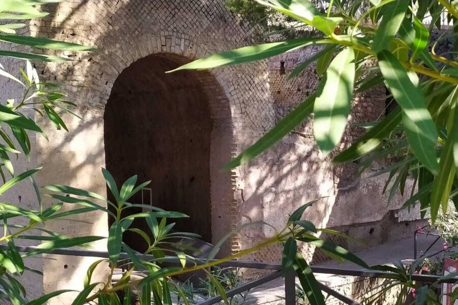 From Rome: Pompeii & Naples Small-Group Day Tour with Lunch - Small-group comfort: the tour assistant, language options, and how the day flows