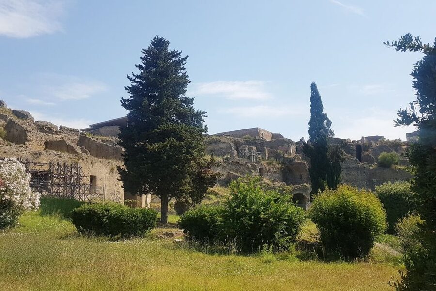 From Rome: Pompeii & Naples Small-Group Day Tour with Lunch - Price and value: what you pay for, and what you get
