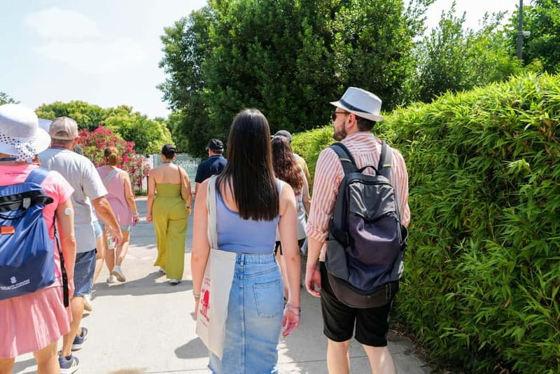 From Rome: Pompeii Ruins Tour with Expert Guide & Fast Train - Return to Rome: Train Times, Practical Flow, and a Contingency Mindset