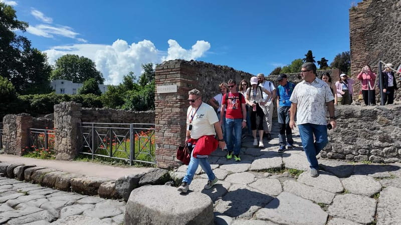From Rome: Pompeii Ruins Tour with Expert Guide & Fast Train - Who This Pompeii Tour Fits Best