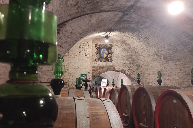 From Rome: Private Day-Tour of Tuscany - Montepulciano, underground cellars, and a wine tasting that actually matters
