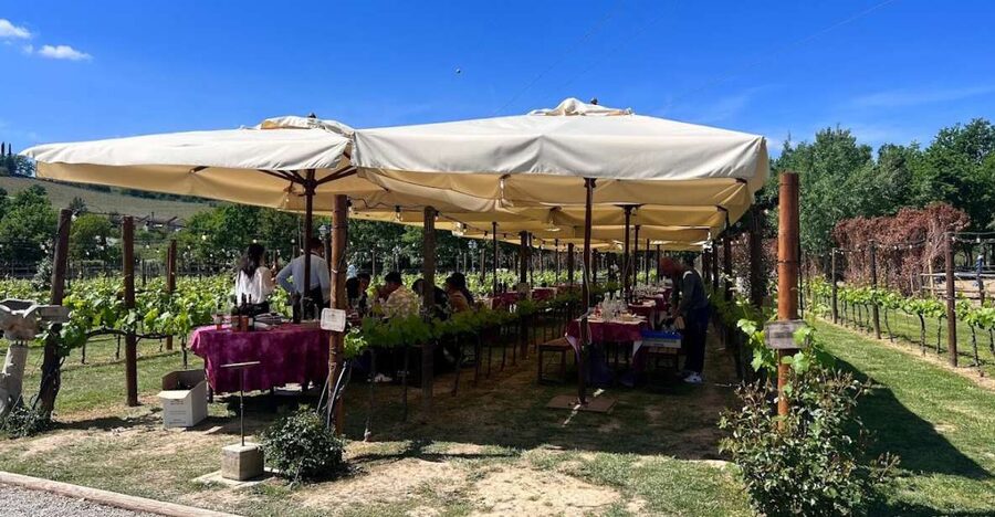 From Rome: Siena and S. Gimignano, Tuscany Wine One Day Tour - Key highlights that make this one day in Tuscany work