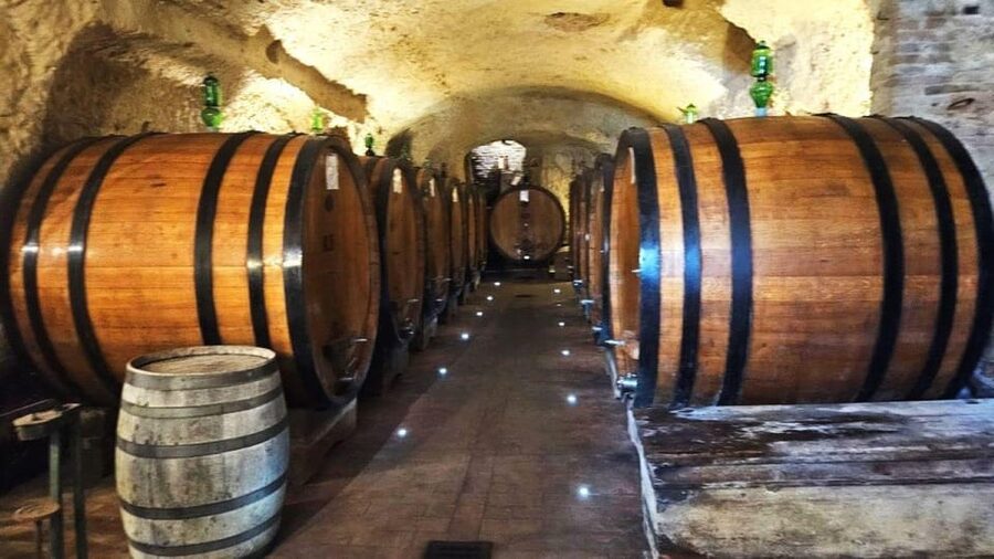 From Rome: Tuscany, Montepulciano Tour with Wine & Lunch - Timing, pace, and the group rhythm of a 12-hour day