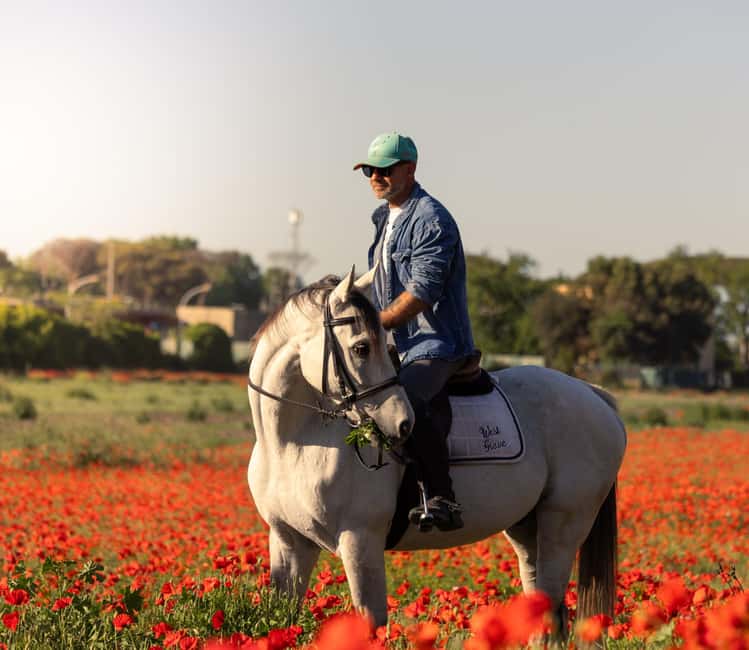 Horse Sanctuary in Rome - Key highlights you will feel right away