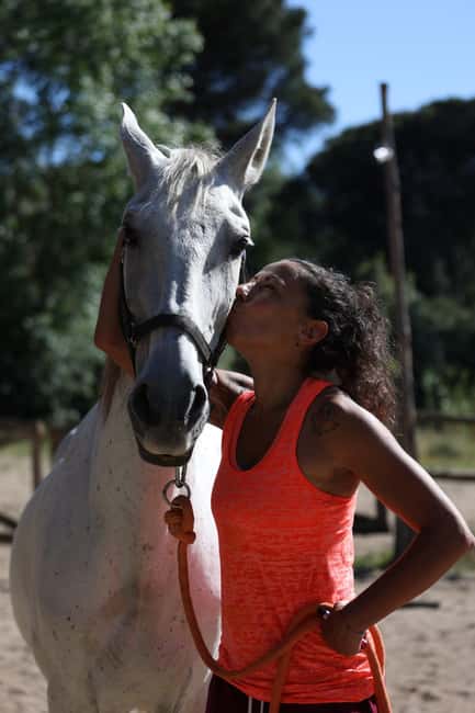 Horse Sanctuary in Rome - Why this horse sanctuary ride beats a typical day trip