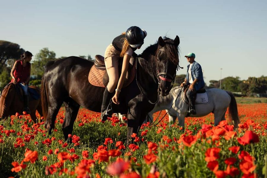 Horse Sanctuary in Rome - First lesson: how they set you up to feel safe on the horse