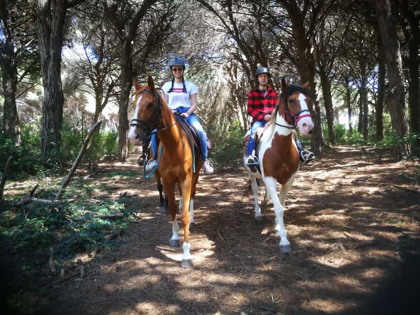 Horse Sanctuary in Rome - The horseback ride through the pinewood, paced for you
