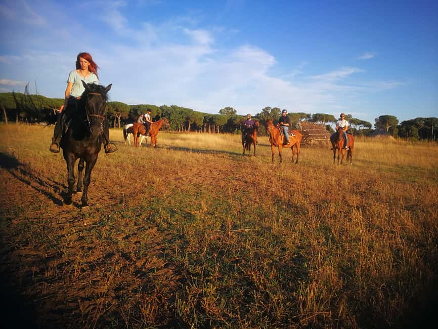 Horse Sanctuary in Rome - Roman ruins from the saddle: what you actually get to see