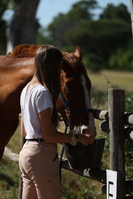 Horse Sanctuary in Rome - Light breakfast or ice cream, plus the ranch downtime