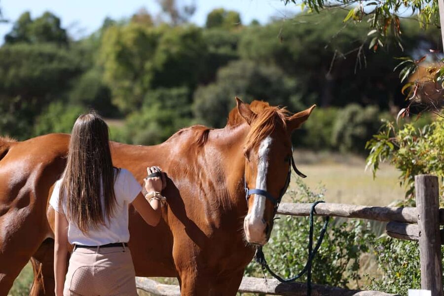 Horse Sanctuary in Rome - What the $106 price includes, and where value comes from